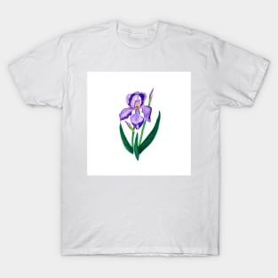 Purple Iris T-Shirt